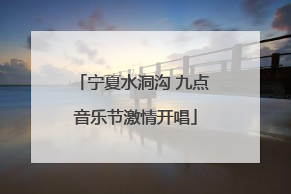 宁夏水洞沟 九点音乐节激情开唱